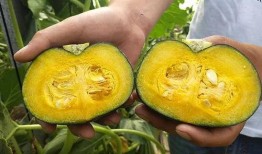 网红大瓜博雅吃瓜视频最全观看 吃料,全网最全大瓜解析，带你一网打尽网红圈风云