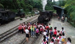 网红黑料网站 网红大秋千,揭秘网络红人背后的真实故事