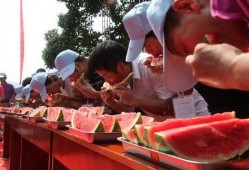 吃瓜大赛 黑吃,黑吃黑，一场惊心动魄的瓜界较量