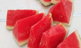 吃瓜大赛 黑吃,黑吃黑，一场惊心动魄的瓜界较量