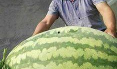 网络大瓜,揭秘娱乐圈幕后真相，带你走进明星隐私世界