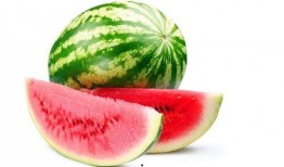 网红热瓜 每日大赛,盘点热门话题，揭秘网络红人风云