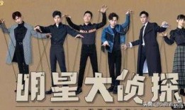 社会热点ppt 明星大侦探第二季,揭秘悬疑背后的明星智慧与友谊