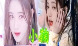 黑料-今日黑料 明星美女,明星美女生存战背后的黑料揭秘